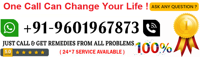 Contact Jay Ambe Astrologer